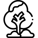 나무 