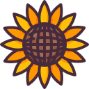 girasol