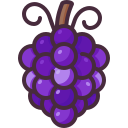 uvas icon