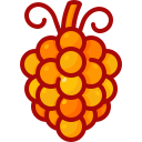 uvas icon