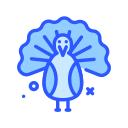 pavo icon