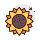 girasol icon