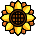 girasol