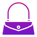 bolso icon