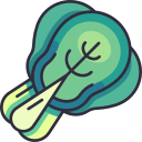 bok choy icon