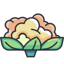 coliflor icon