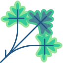 cilantro icon