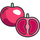 tomate icon