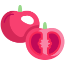 tomate icon