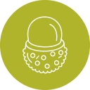 lychee icon