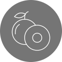 longan icon