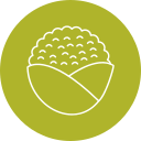 coliflor icon