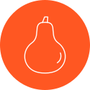 calabaza icon