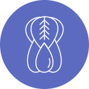 bok choy icon