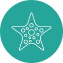 estrella de mar icon