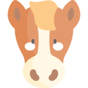 caballo icon