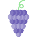 uvas icon