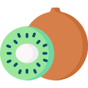 kiwi icon