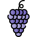 uvas icon