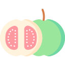 guayaba icon