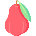 manzana rosa icon