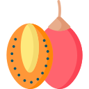 tamarillo icon