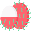 rambután icon