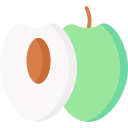 pastilla icon