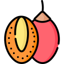 tamarillo