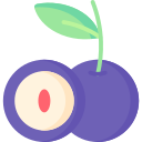 jabuticaba icon