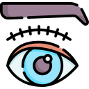 blefaroplastia icon