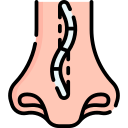 septoplastia icon