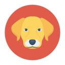 perro icon