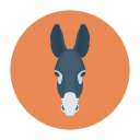 burro icon