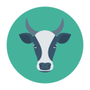 vaca icon