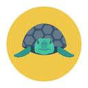 tortuga