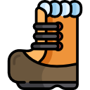 bota icon