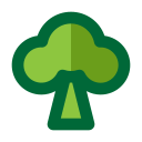 Árbol icon