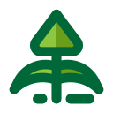 Árbol icon