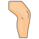 rodilla icon