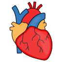 corazón icon