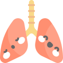 pulmones icon