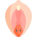 vagina icon