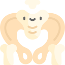 pelvis icon