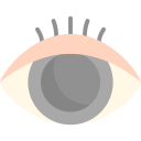 ojo icon