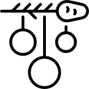 Branch 