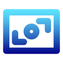 zoom icon