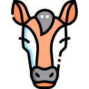 caballo icon