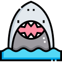 requin 
