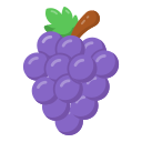 uvas icon